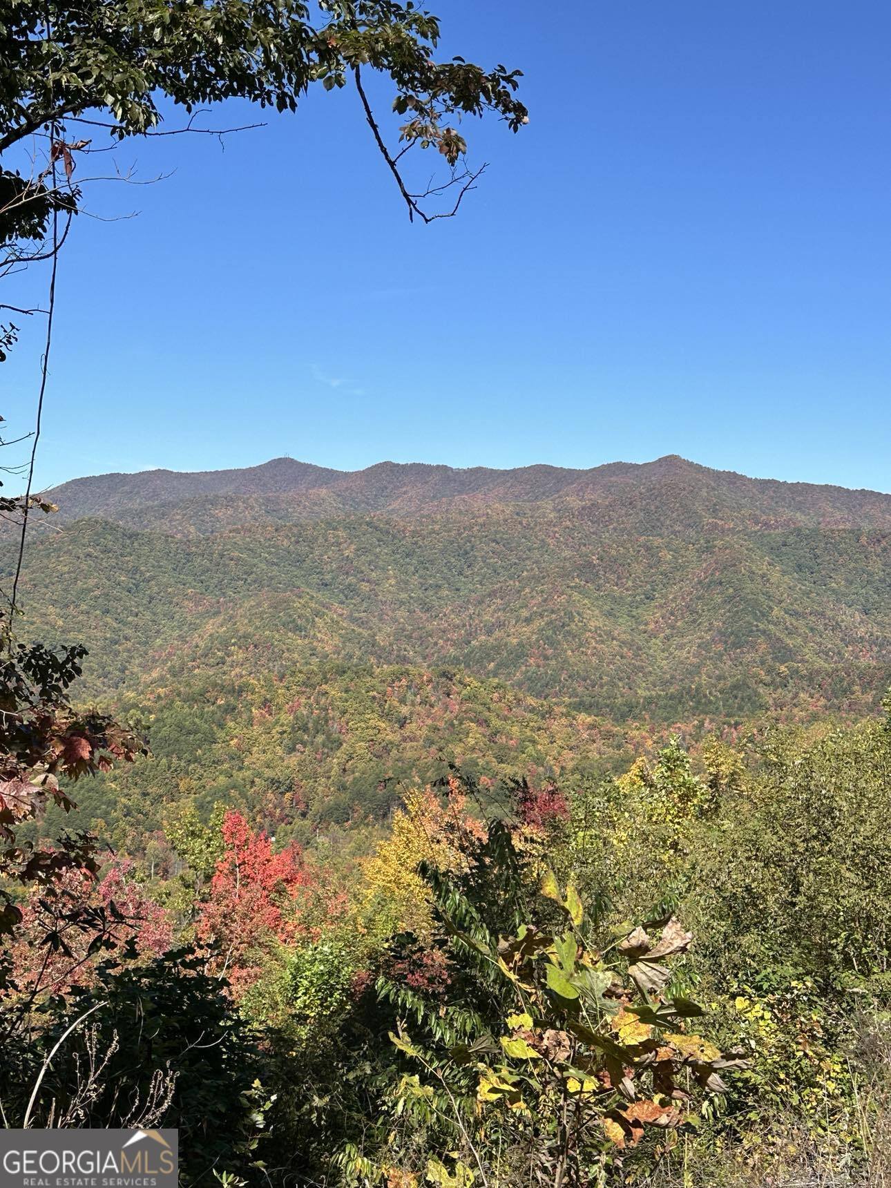 24 Cahill Drive Andrews, NC 28901 - Photo 6 of 50