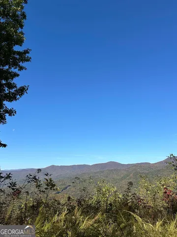 a view of a mountain