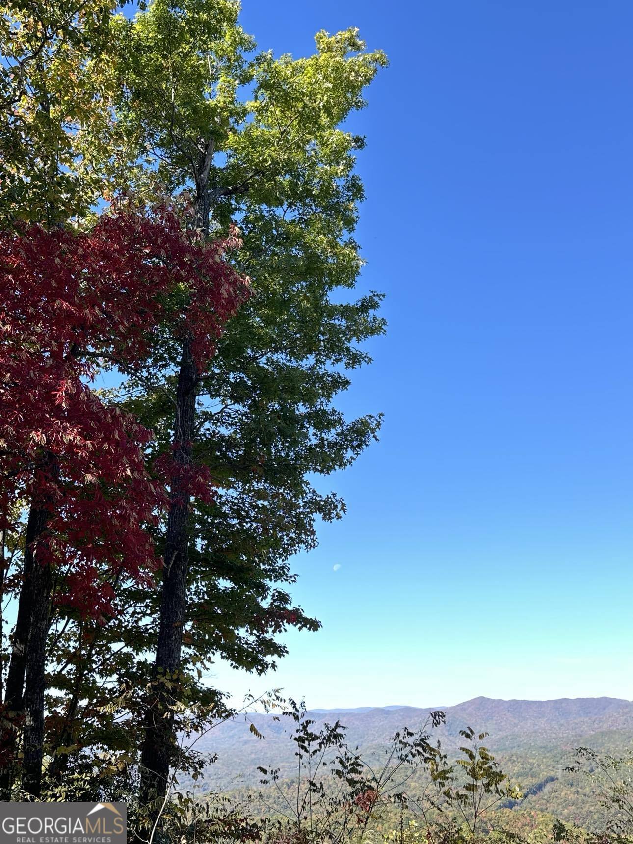 24 Cahill Drive Andrews, NC 28901 - Photo 8 of 50