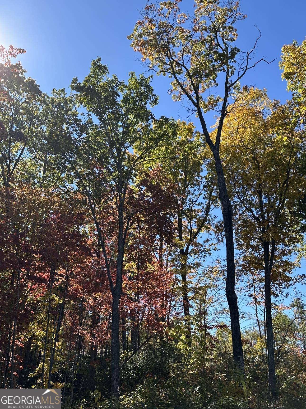 24 Cahill Drive Andrews, NC 28901 - Photo 9 of 50