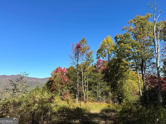 a view of a water plant in front of a house
