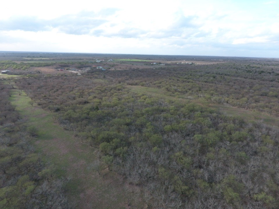 Tract S Dry Creek Road Lockhart, TX 78644 - Photo 1 of 1 Gallery Image 1