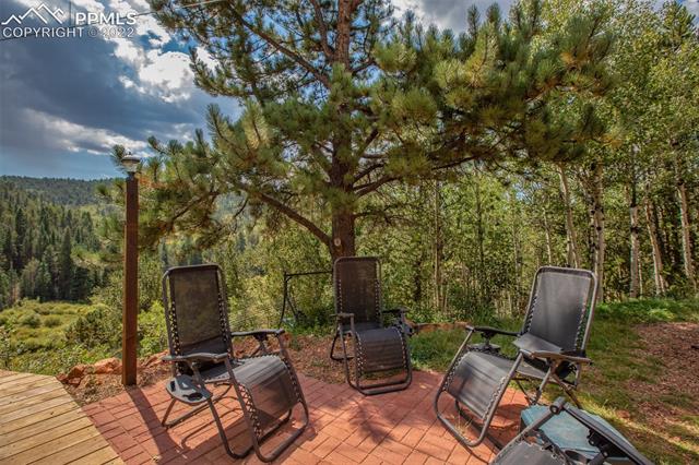 440 Beaver Pond Road Divide, CO 80814 - Photo 29 of 50 Gallery Image 29