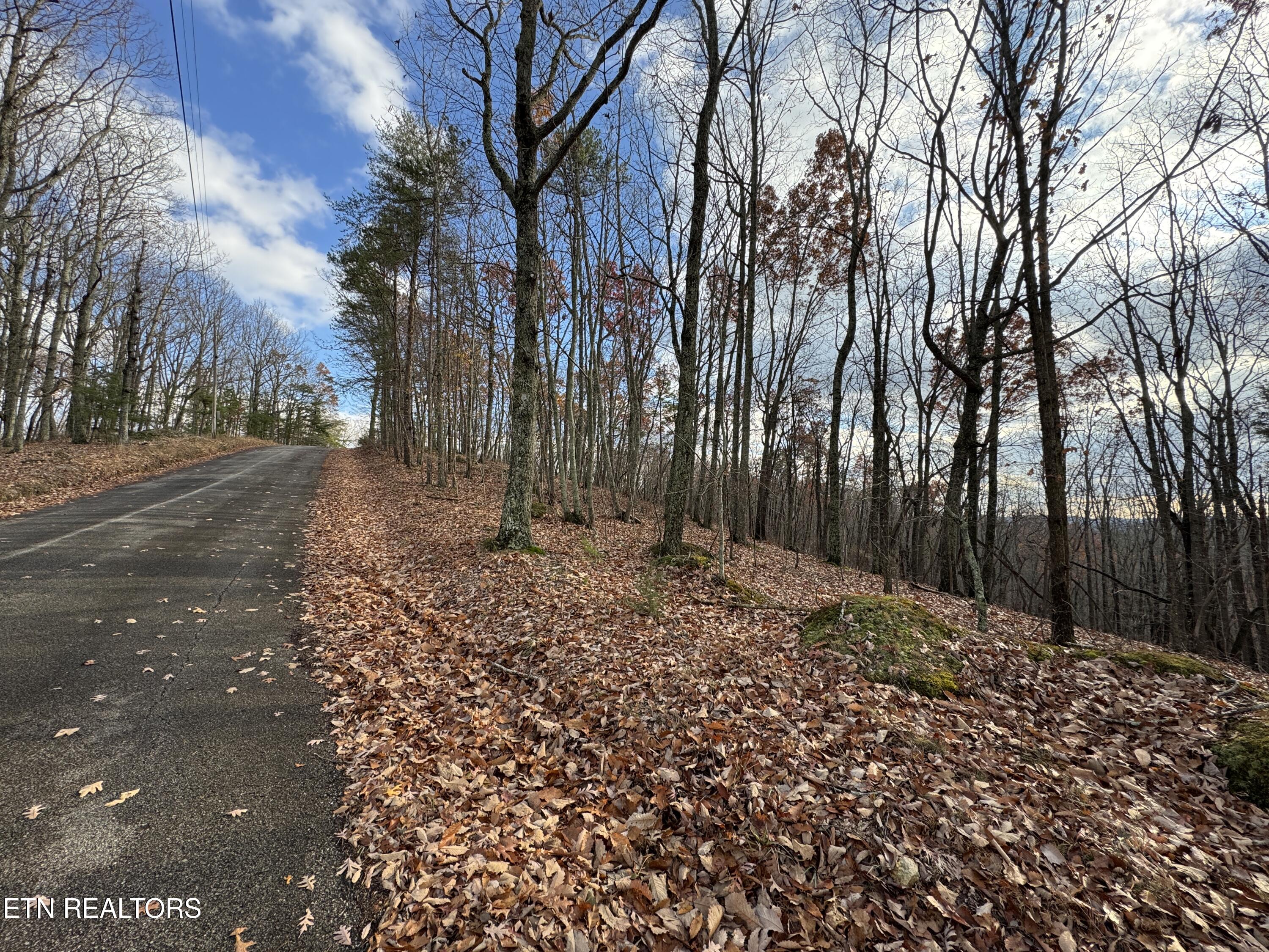 Lawhon Farm Road Loudon, TN 37774 - Photo 10 of 17 IMG_5964