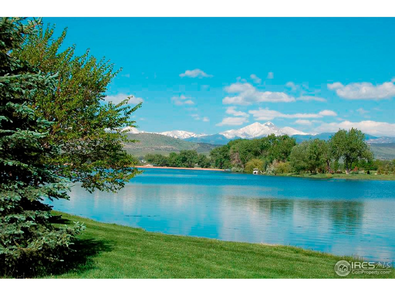 9788 Meadow Ridge Lane Longmont, CO 80504 - Photo 12 of 14