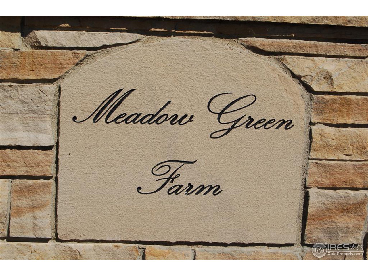 9788 Meadow Ridge Lane Longmont, CO 80504 - Photo 2 of 14