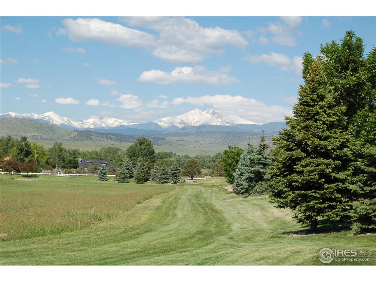 9788 Meadow Ridge Lane Longmont, CO 80504 - Photo 5 of 14