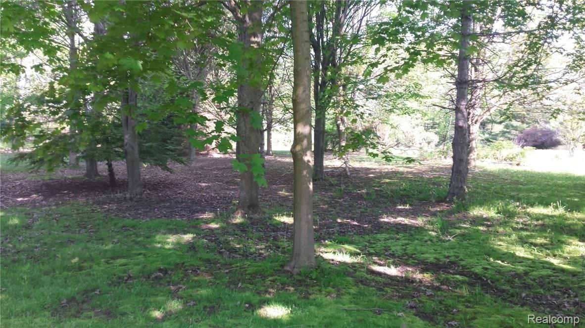 8984 Beard Road Avoca, MI 48006 - Photo 17 of 18 This is view 6 of the yard.