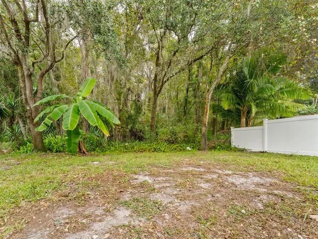 a backyard of a house with plants and large trees