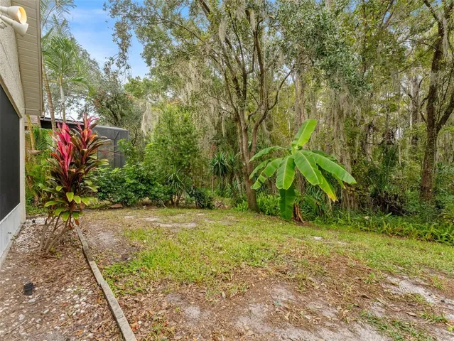 a backyard of a house with lots of green space