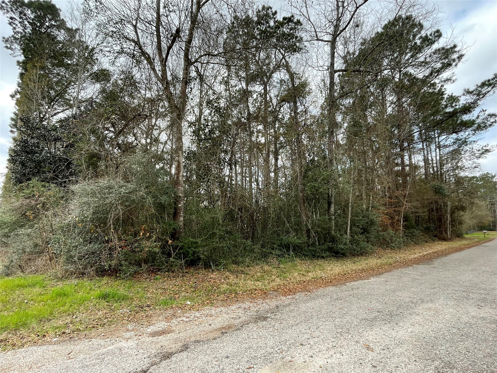 0 Codner Drive Shepherd, TX 77371 - Photo 3 of 4 a view of outdoor space and yard