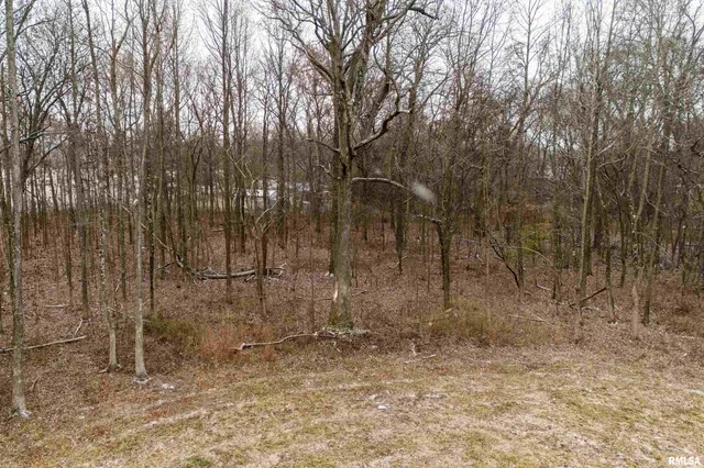 $155,000 | 0 North Sparrow Lane, Mount Vernon, IL 62864