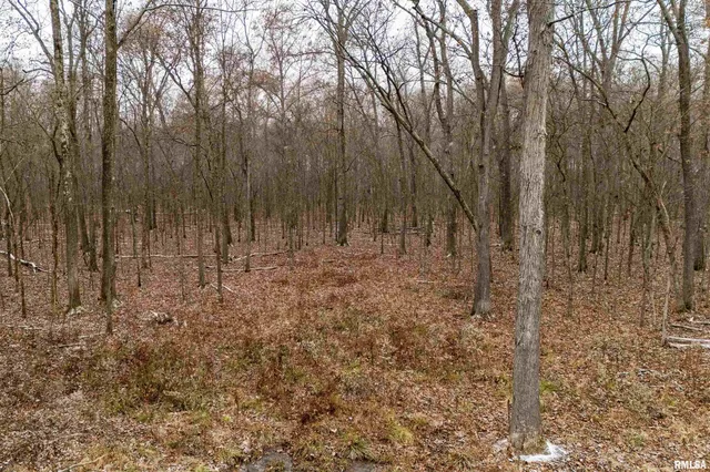 $155,000 | 0 North Sparrow Lane, Mount Vernon, IL 62864