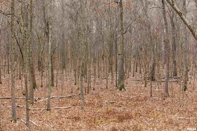 $155,000 | 0 North Sparrow Lane, Mount Vernon, IL 62864