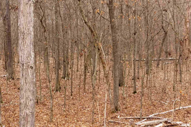 $155,000 | 0 North Sparrow Lane, Mount Vernon, IL 62864