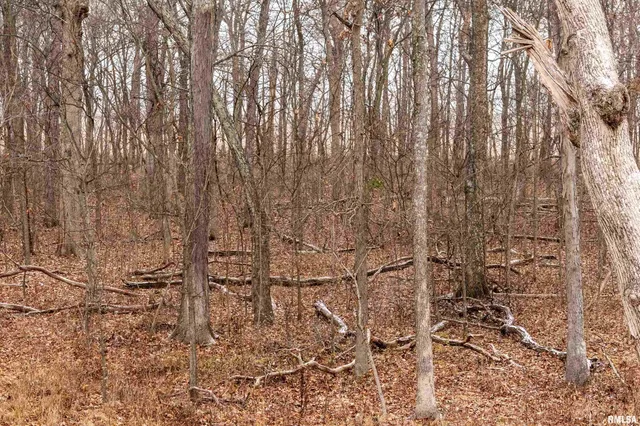 $155,000 | 0 North Sparrow Lane, Mount Vernon, IL 62864