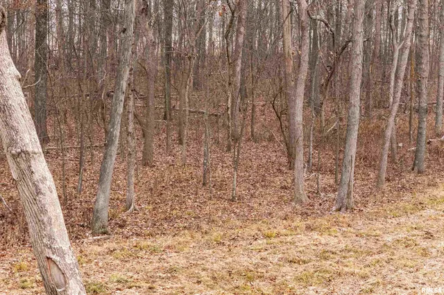 $155,000 | 0 North Sparrow Lane, Mount Vernon, IL 62864