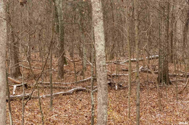 $155,000 | 0 North Sparrow Lane, Mount Vernon, IL 62864