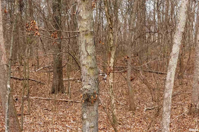 $155,000 | 0 North Sparrow Lane, Mount Vernon, IL 62864