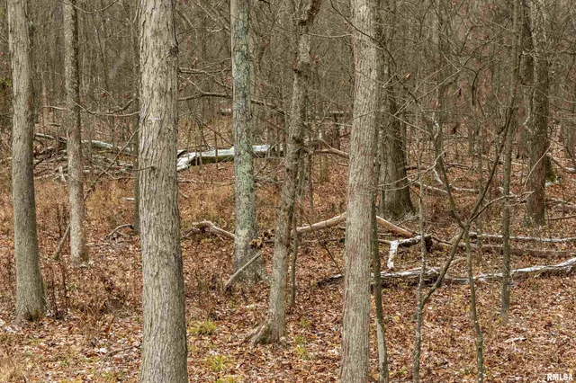 $155,000 | 0 North Sparrow Lane, Mount Vernon, IL 62864