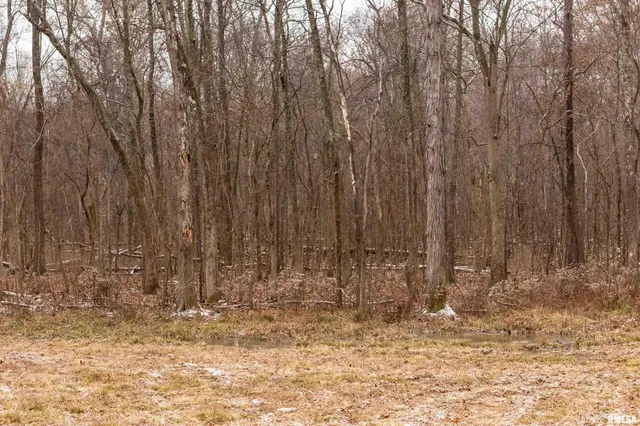 $155,000 | 0 North Sparrow Lane, Mount Vernon, IL 62864