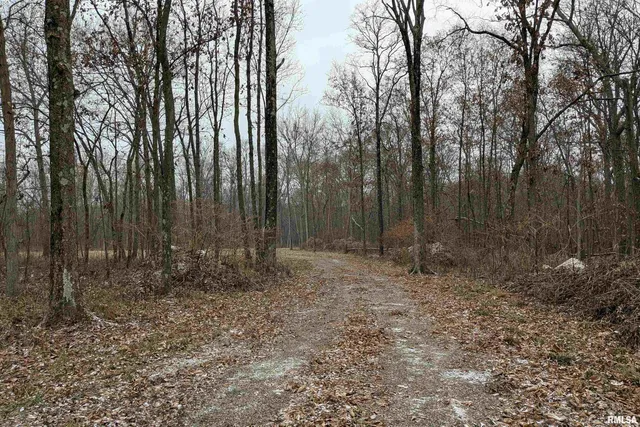 $155,000 | 0 North Sparrow Lane, Mount Vernon, IL 62864