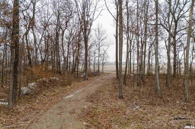 $155,000 | 0 North Sparrow Lane, Mount Vernon, IL 62864