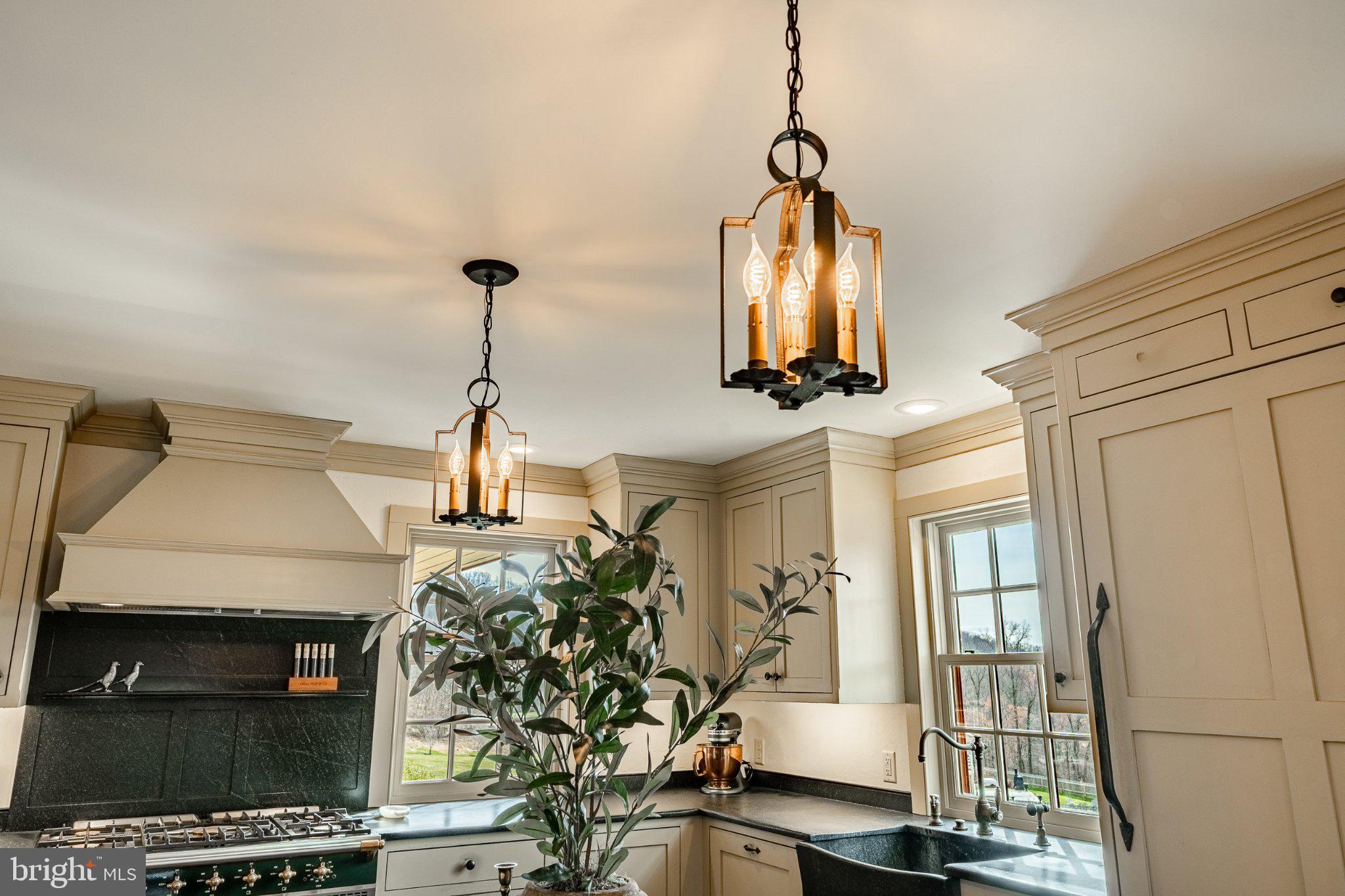202 Privet Lane Elverson, PA 19520 - Photo 26 of 78 Elegant kitchen with stylish lighting.