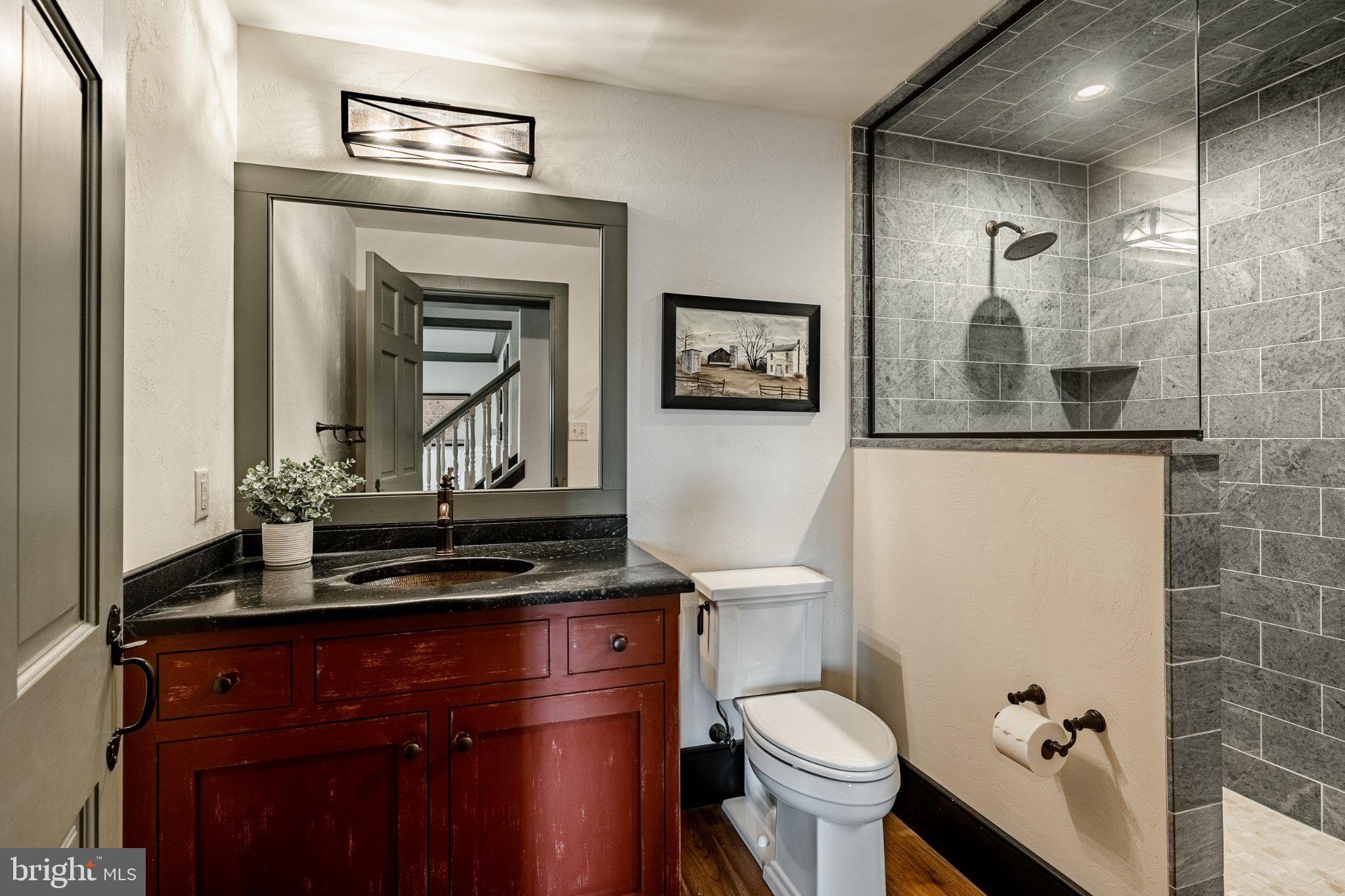 202 Privet Lane Elverson, PA 19520 - Photo 63 of 78 a bathroom with a toilet sink and mirror