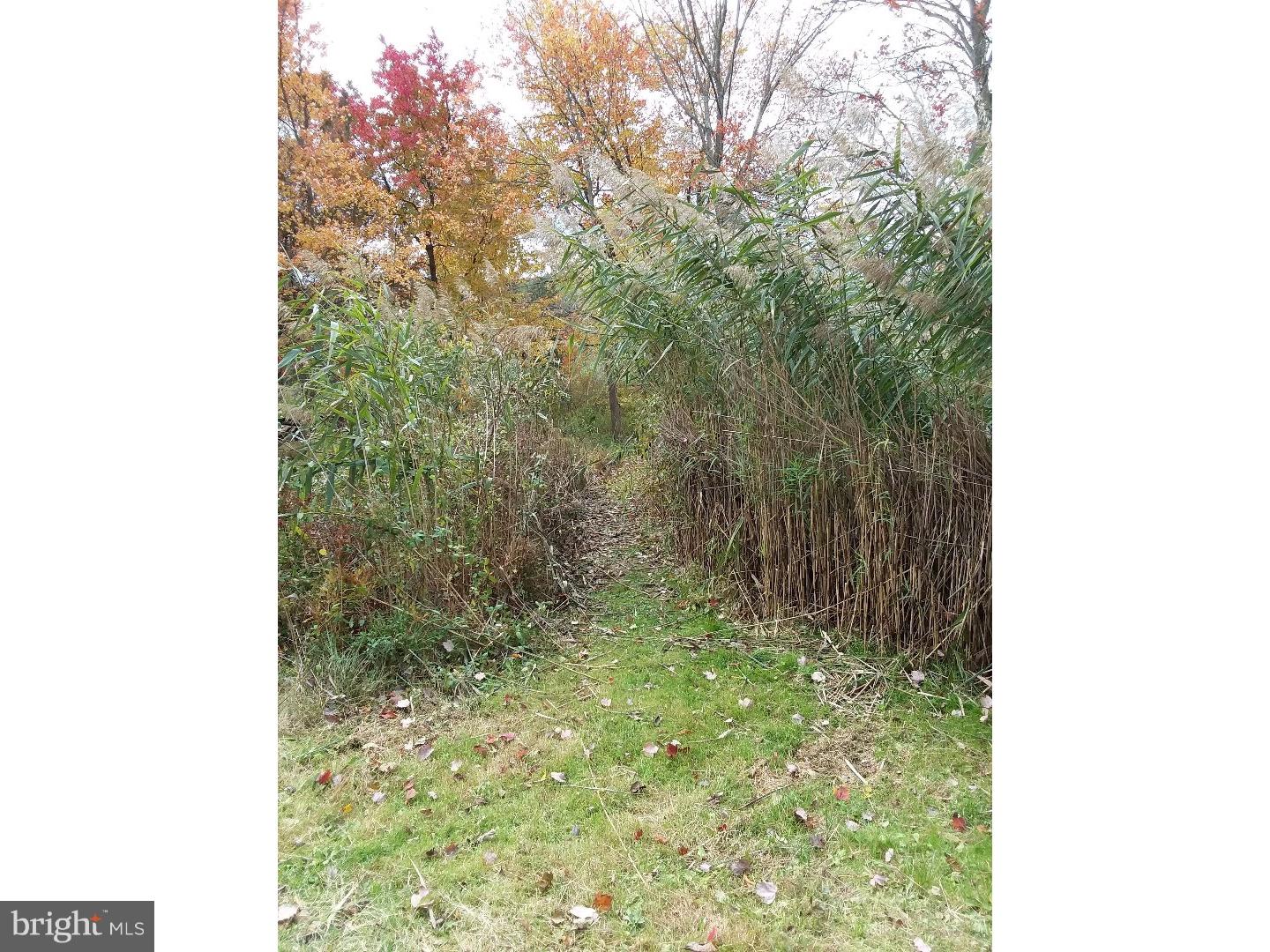 724 Durham Road Riegelsville, PA 18077 - Photo 13 of 14