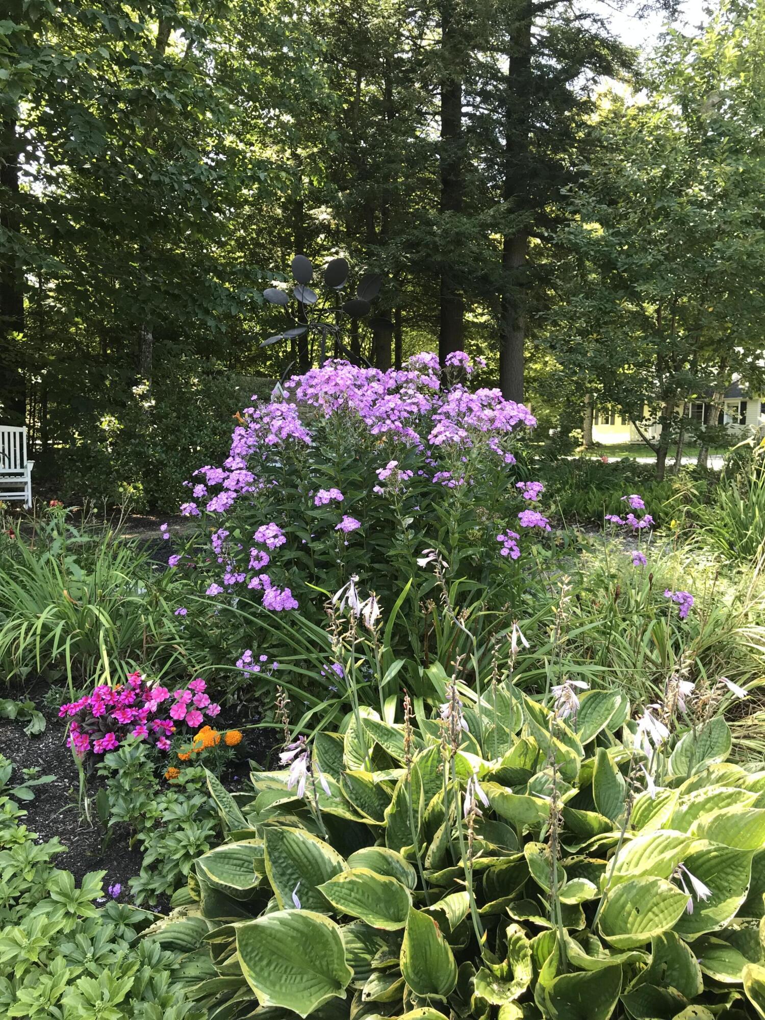 306 Hamilton Terrace Pittsfield, ME 04967 - Photo 35 of 37 gardens