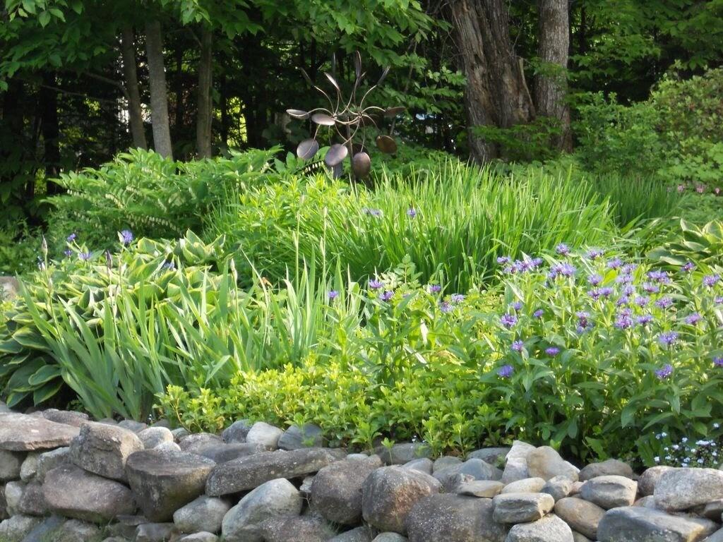 306 Hamilton Terrace Pittsfield, ME 04967 - Photo 36 of 37 Gardens