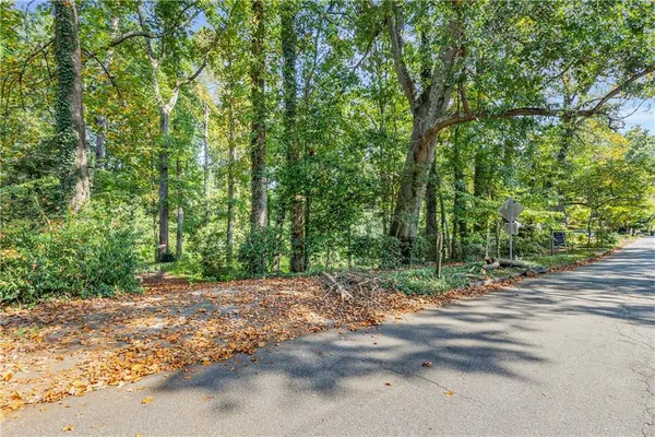 a view of a road with plants and large trees