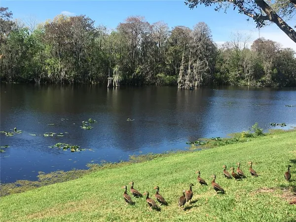 $2,550 | 7433 Terrace River Drive, Tampa, FL 33637