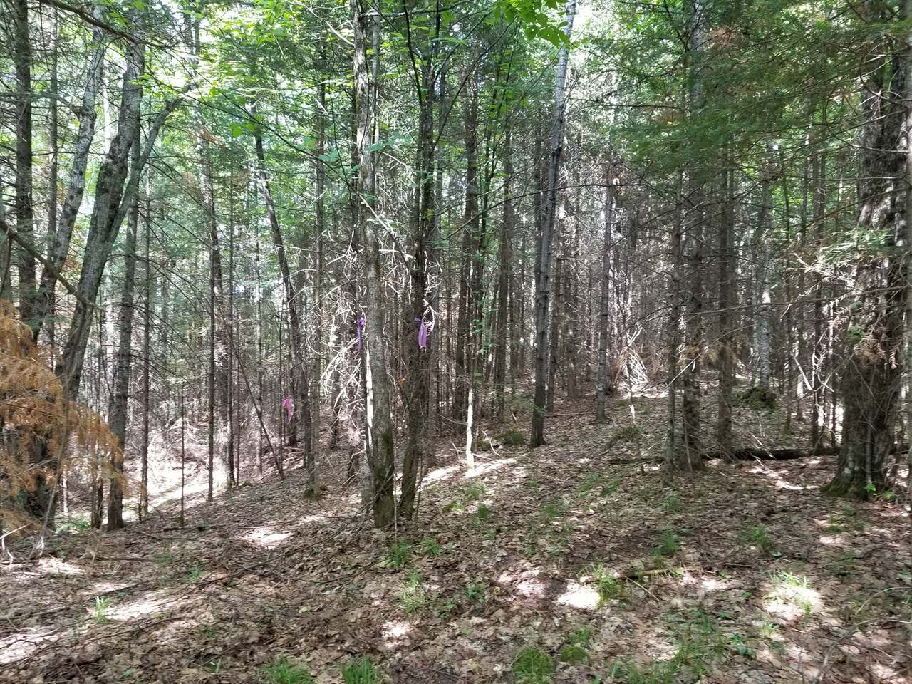 Lot 31 Nathan Pass Mercer, WI 54547 - Photo 24 of 26 Gallery Image 24