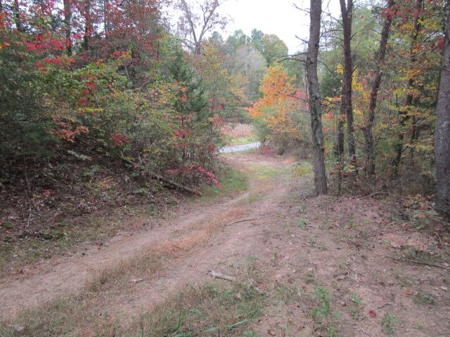 Tater Valley Road Washburn, TN 37888 - Photo 1 of 4 IMG_1326