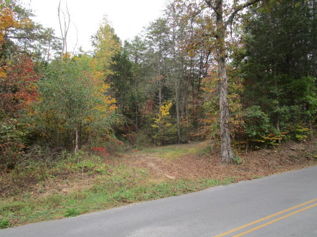 Tater Valley Road Washburn, TN 37888 - Photo 3 of 4 IMG_1331