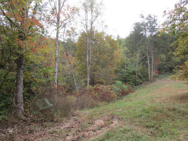 Tater Valley Road Washburn, TN 37888 - Photo 4 of 4 IMG_1328