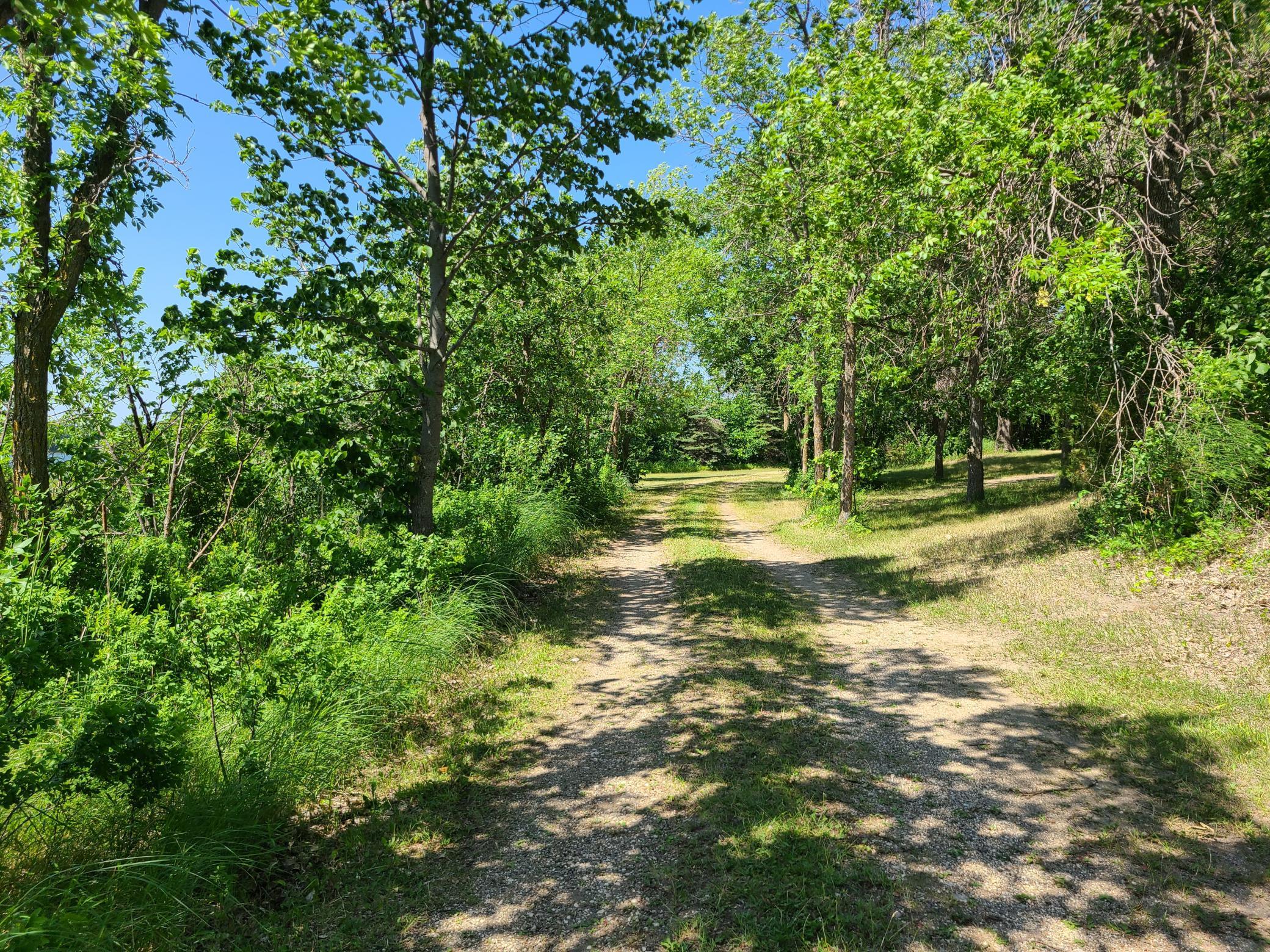 26373 Anna Lake Road Underwood, MN 56586 - Photo 3 of 39