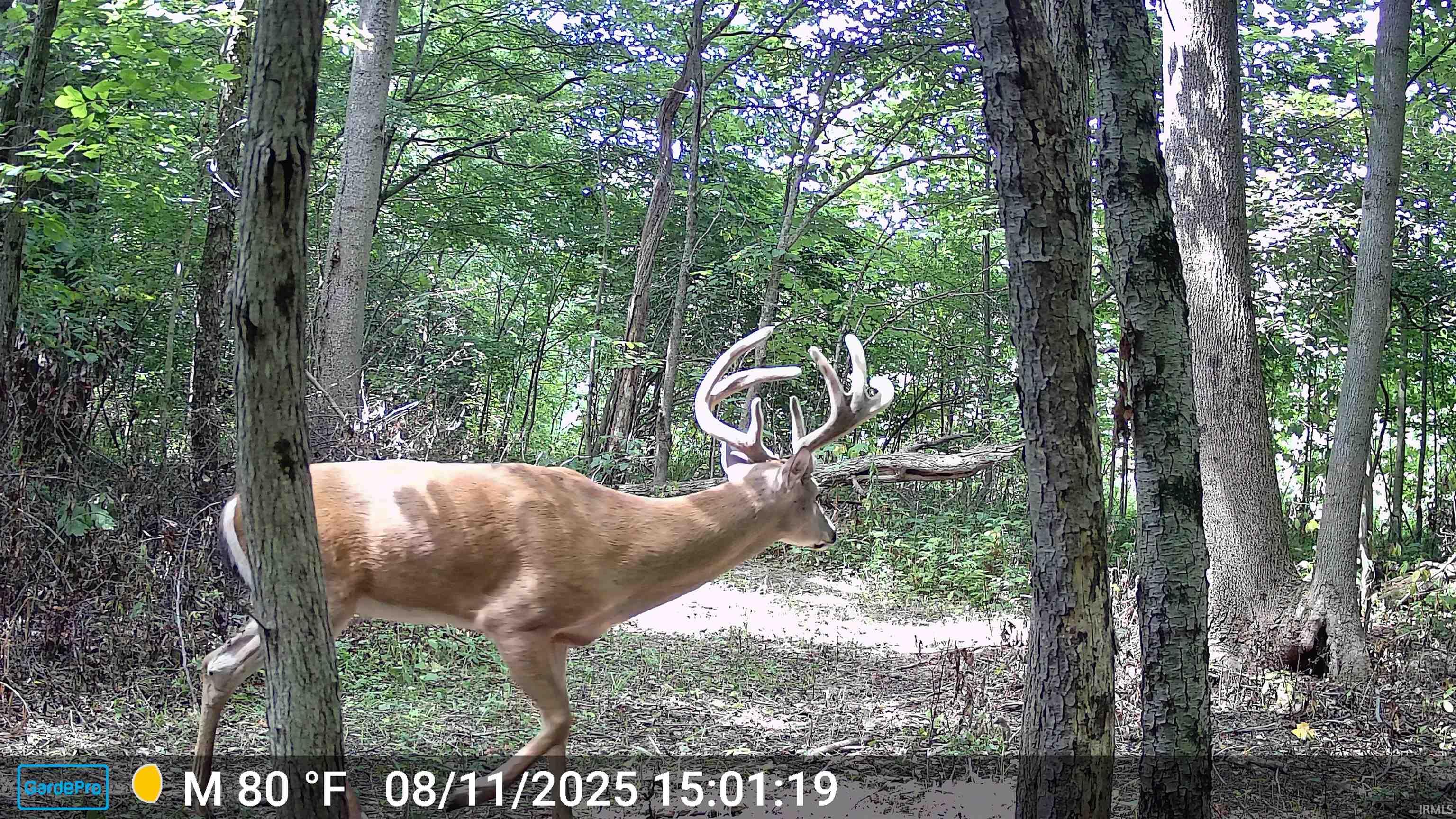 13960 North Rock Run Church Road Rosedale, IN 47874 - Photo 50 of 50