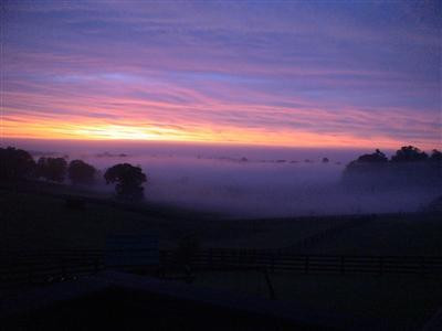 524 Big Stoner Road Winchester, KY 40391 - Photo 26 of 69 Foggy sunset...