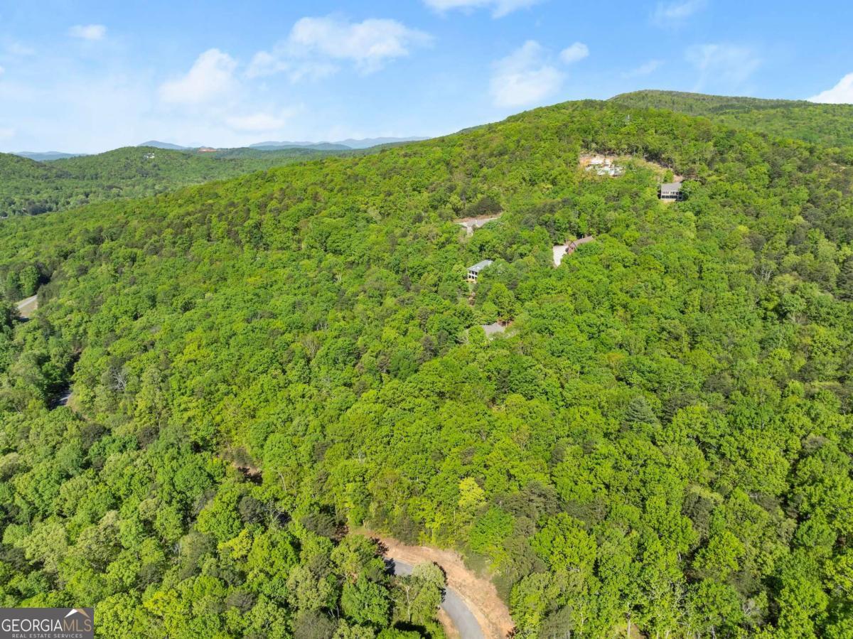 0 Pippin Circle, Unit 635 Clarkesville, GA 30523 - Photo 11 of 20 a view of a big yard with plants and large trees