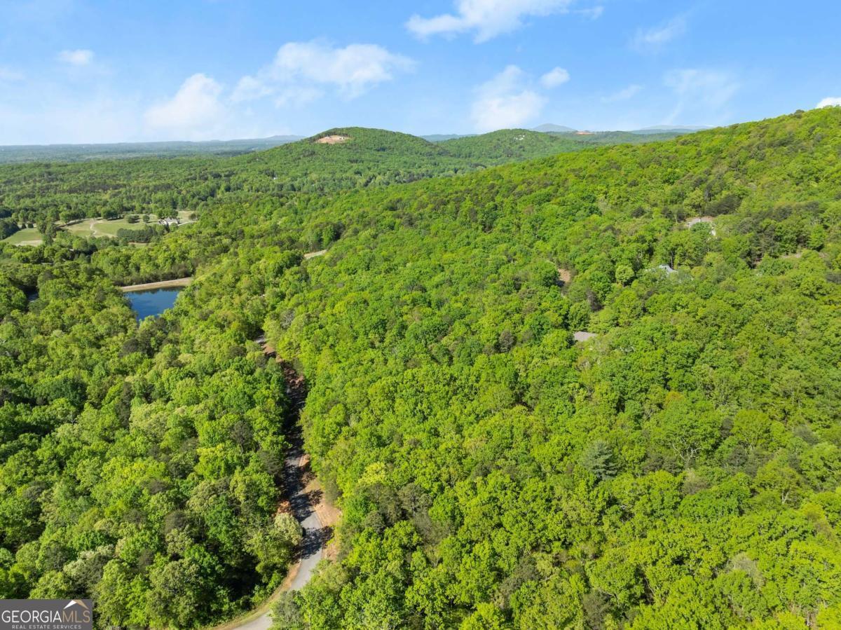 0 Pippin Circle, Unit 635 Clarkesville, GA 30523 - Photo 12 of 20 a view of a lush green space with sea