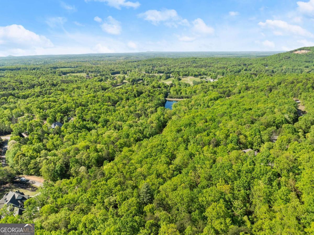 0 Pippin Circle, Unit 635 Clarkesville, GA 30523 - Photo 13 of 20 a view of a city with lush green forest