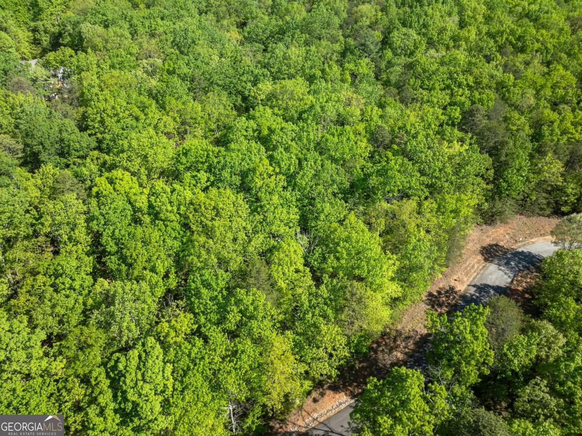 0 Pippin Circle, Unit 635 Clarkesville, GA 30523 - Photo 17 of 20 a view of a lush green forest with lots of trees