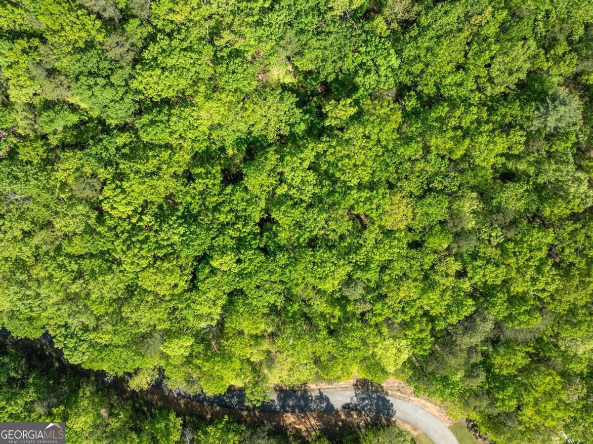 0 Pippin Circle, Unit 635 Clarkesville, GA 30523 - Photo 20 of 20 a view of a lush green forest