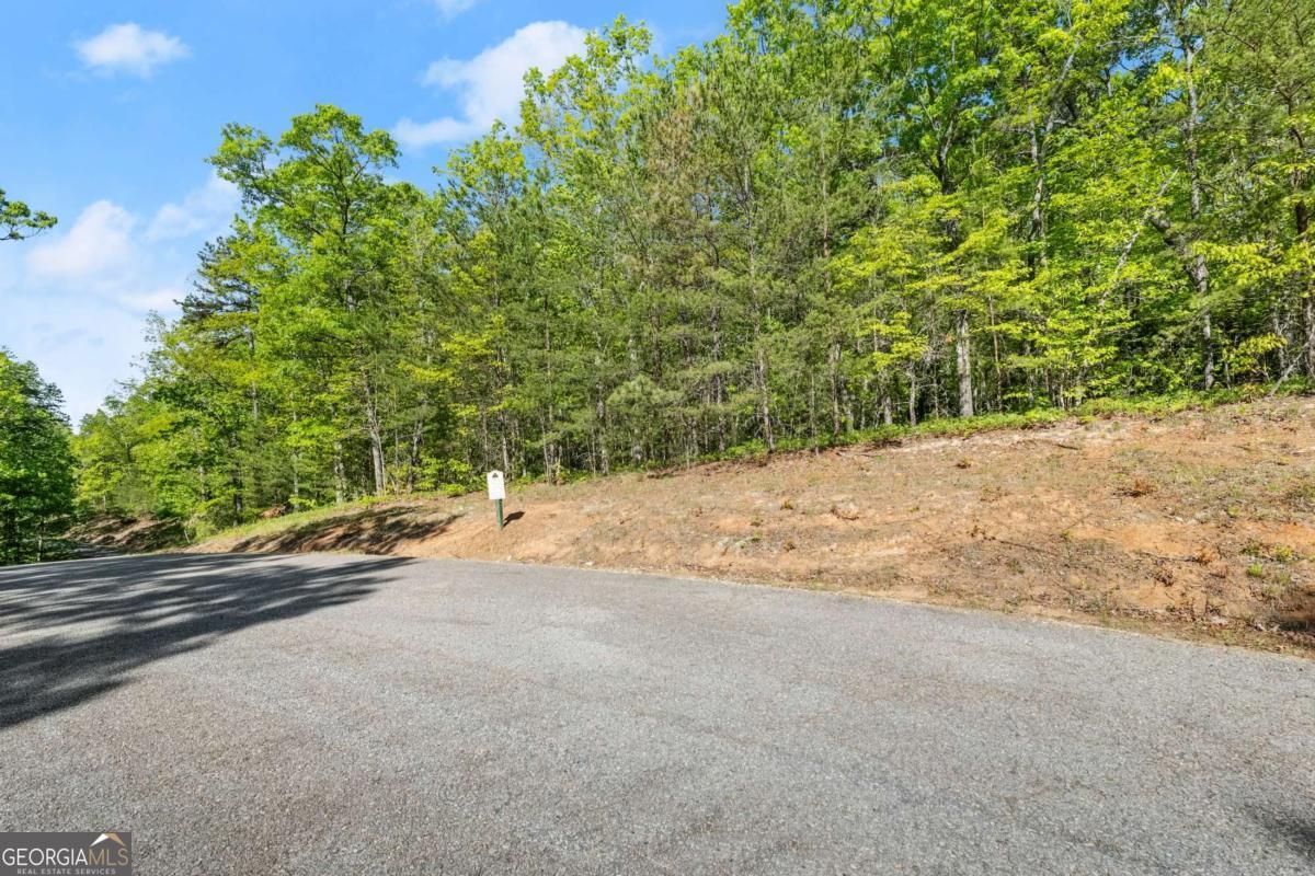 0 Pippin Circle, Unit 635 Clarkesville, GA 30523 - Photo 2 of 20 a view of a yard with a tree