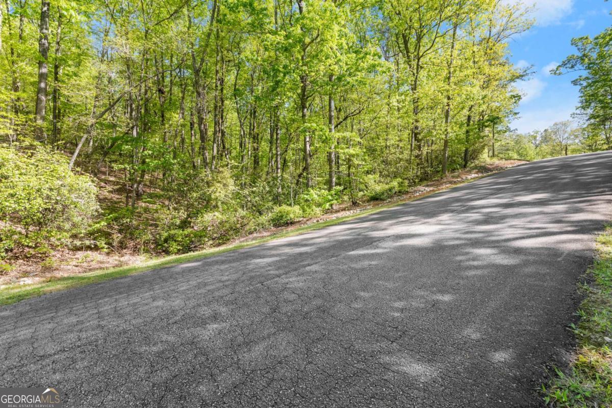 0 Pippin Circle, Unit 635 Clarkesville, GA 30523 - Photo 4 of 20 a view of a yard with a tree