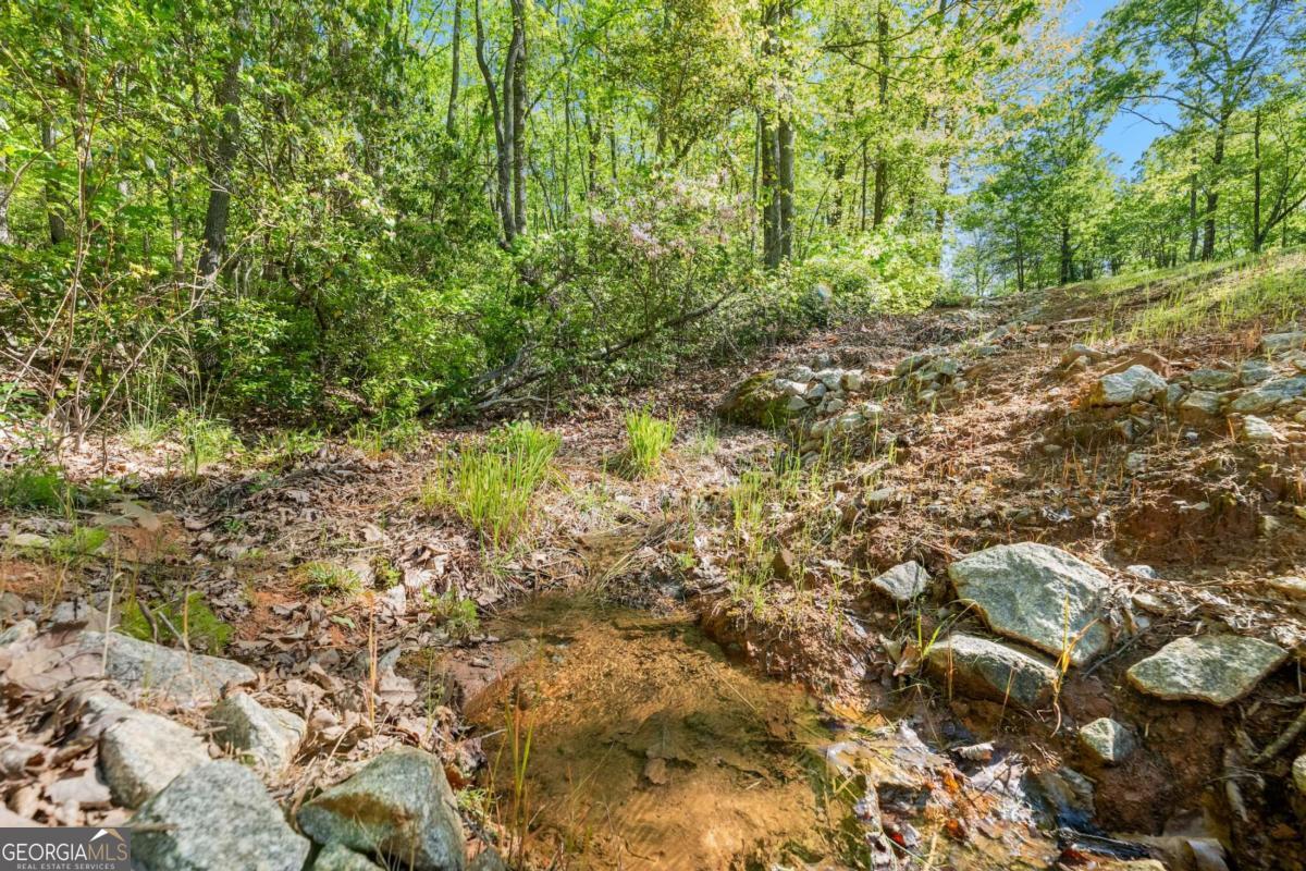0 Pippin Circle, Unit 635 Clarkesville, GA 30523 - Photo 5 of 20 a view of a yard with plants and large trees