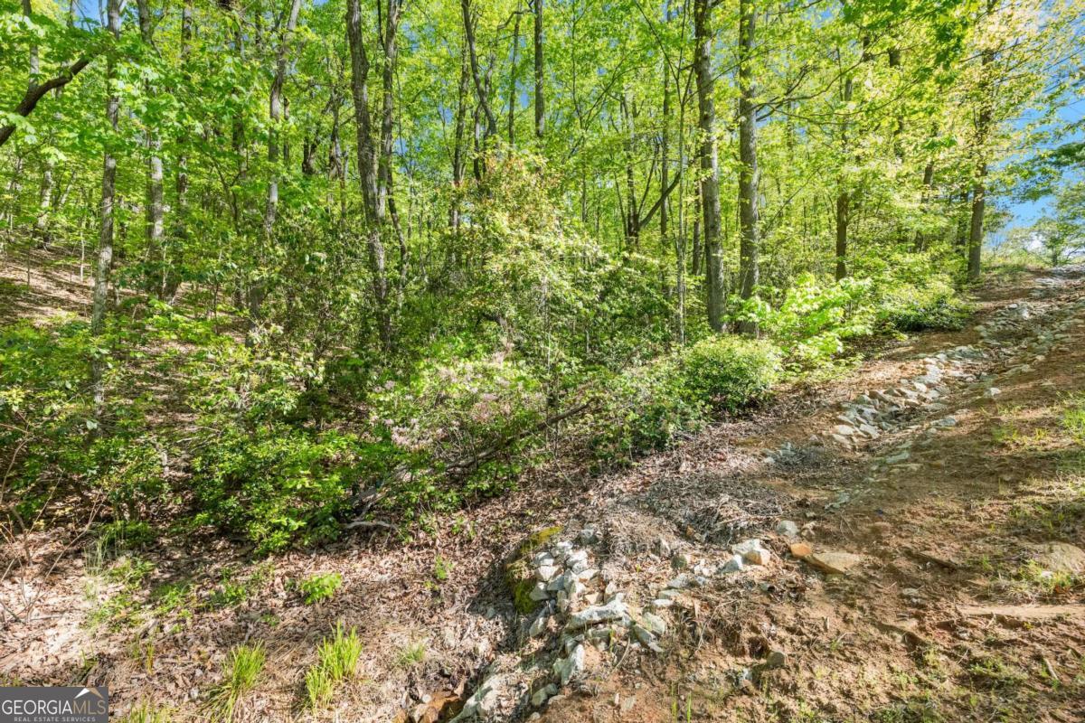 0 Pippin Circle, Unit 635 Clarkesville, GA 30523 - Photo 6 of 20 a view of a yard with plants and wooden fence